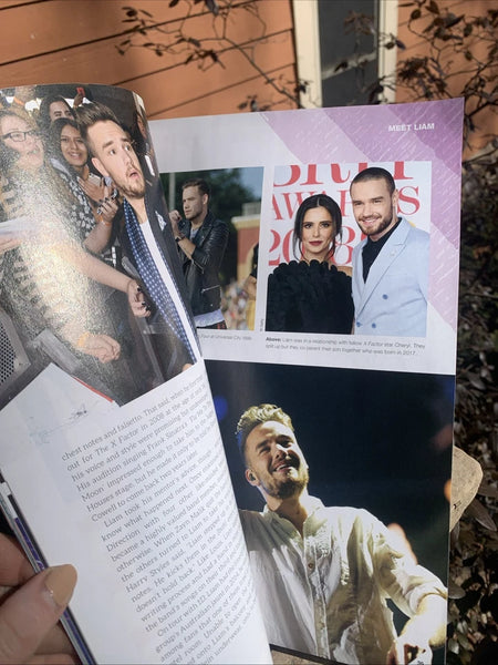 ICONS SERIES - ONE DIRECTION FANBOOK - HARRY STYLES LOUIS