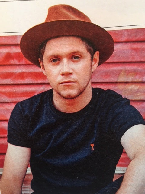 Niall Horan interview for Culture Magazine 