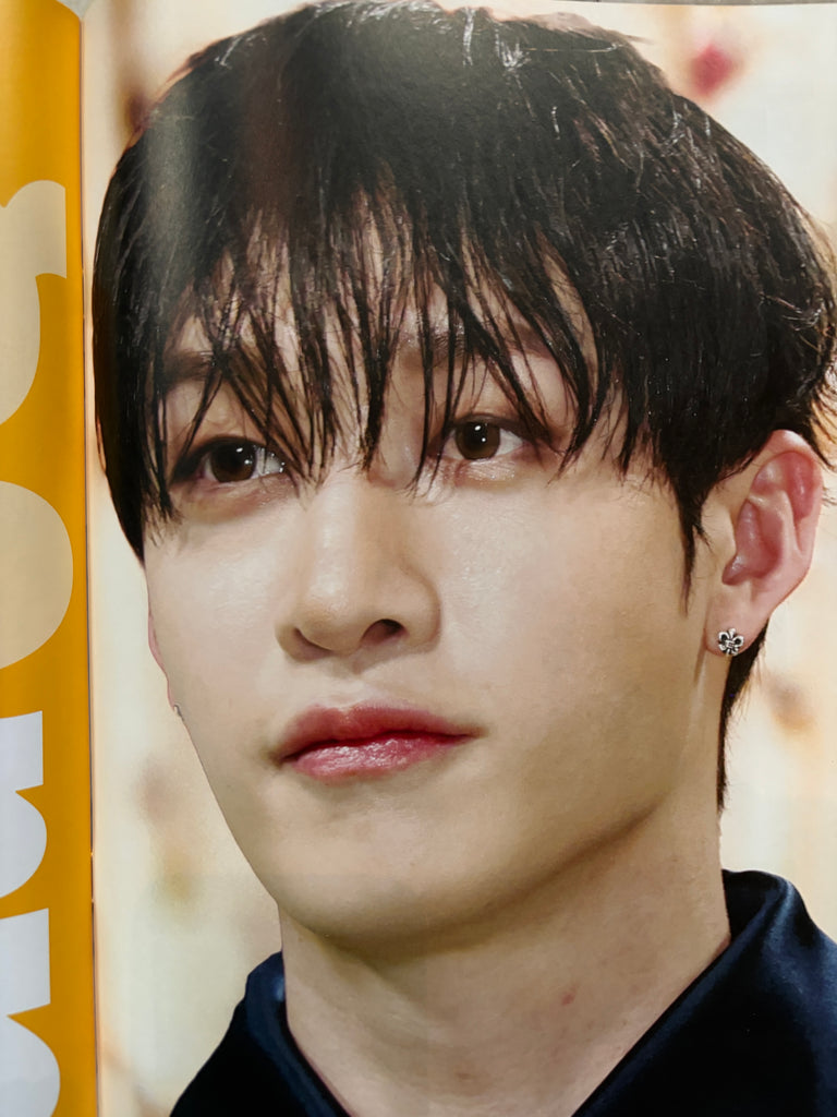 Stray Kids In Focus Bookazine - Domination Completed