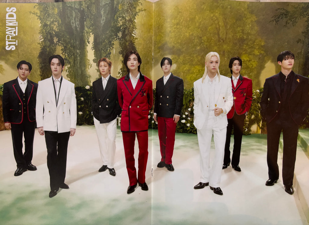 Stray Kids In Focus Bookazine - Domination Completed