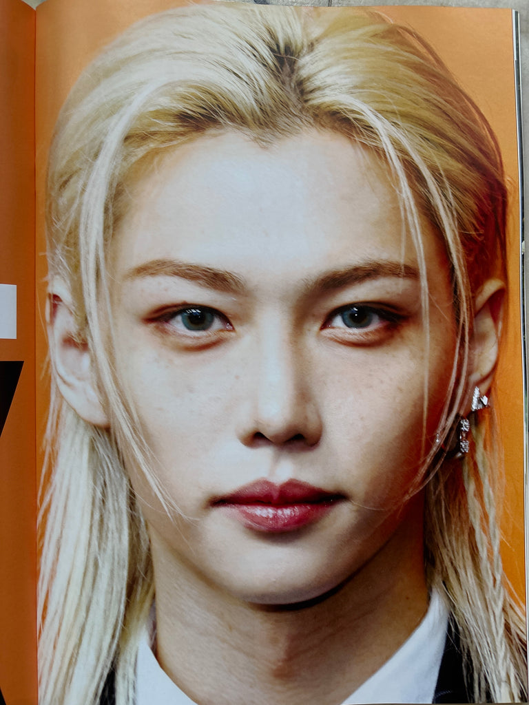 Stray Kids In Focus Bookazine - Domination Completed