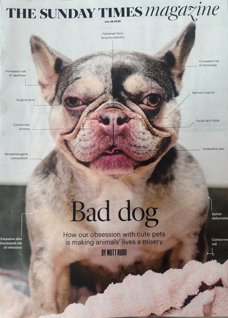 The Sunday Times Magazine 26 July 2026 - Jimi Hendrix