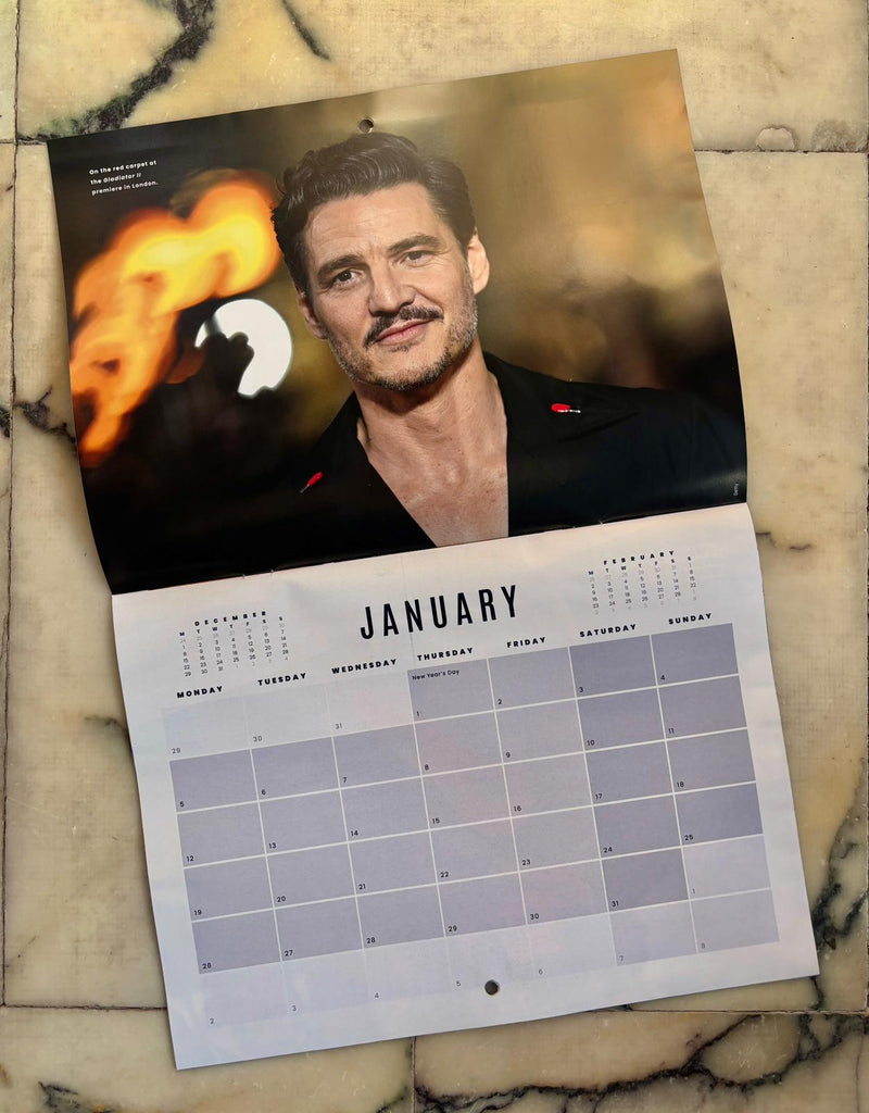 Ultimate Pedro Pascal Fan Pack: Including a Huge double sided poster, 2026 Calendar and sticker sheet