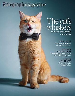 TELEGRAPH Magazine October 2016 Street Cat Named Bob The Streetcat James Bowen