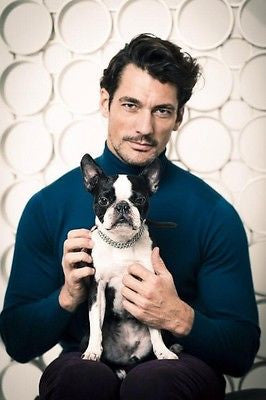 DAVID GANDY PHOTO UK COVER INTERVIEW SHORTLIST MODE MAGAZINE SEPT 2014