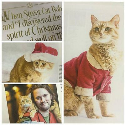 Big Issue Magazine Christmas 2014 Street Cat Named Bob The Streetcat J -  Yourcelebritymagazines