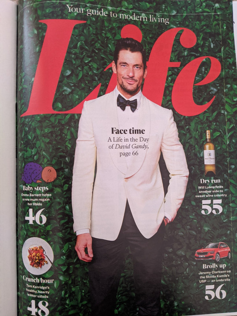 SUNDAY TIMES magazine February 16 2020: DAVID GANDY Andy Gill (Gang of Four)