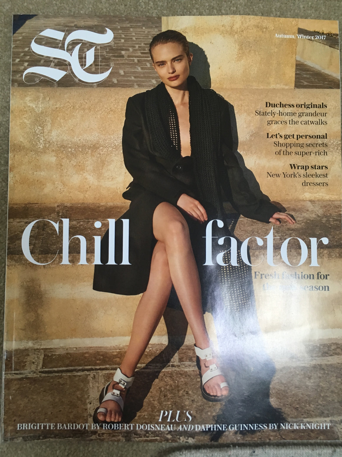 UK ST Magazine A/W 2017 Daphne Guinness Nick Knight Brigitte Bardot by Doisneau