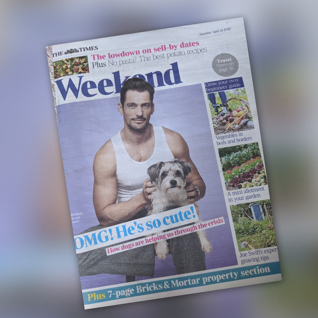Times Weekend April 2020: DAVID GANDY COVER FEATURE