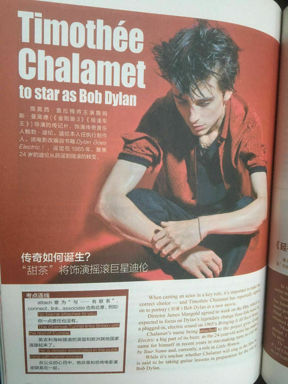 Timothee Chalamet TEENS SPACE Magazine China 2020 - Bob Dylan